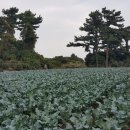 성산별장