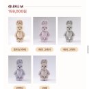 럭키 | 테디테일즈 2026 럭키박스 후기