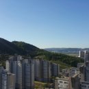 도담동_도램2007동 앞 이미지