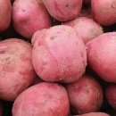 증산농장 이미지