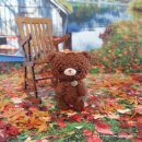 리틀버디 이미지