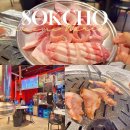 고기싸롱신 | 속초여행 속초해수욕장 삼겹살 맛집 고기싸롱