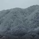 유창농장 네이버블로그