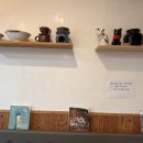 제주노조미 이미지