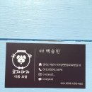 코지아지 이미지