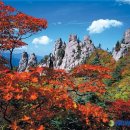 청마조경 이미지
