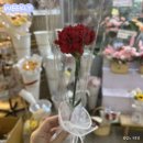 정하메디칼 | 어린이날 즐기고, 어버이날 바짝 효도🌹