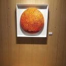 강남대로2-8 이미지