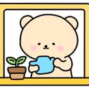 13월의제주