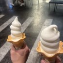 커스텀멜로우신세계대구점