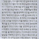알파기획 Daum카페