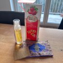 강아지유치원왕왕 | 1월 월간일상 : 웨딩 준비로 스트레스받고 강아지로 힐링하는 날 들