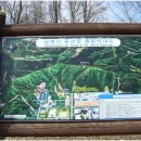 신성동 주민센터 버스정류장 이미지