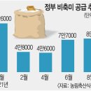 '米친 쌀값'.. 어느새 정부미 재고도 바닥 이미지