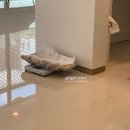 하트만 동물병원 이미지