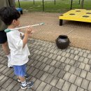 창녕박물관 | 대구 근교 아이와 가볼 만한 곳 : 창녕 곤충박물관 우포 곤충나라 주차, 입장료 체험후기