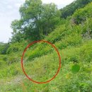 연천군양원리보건진료소 이미지