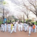 동아대 힘찬 태권도 이미지