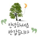 꽃，화분