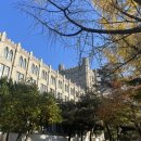 언니네맛집 이미지