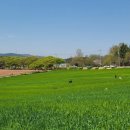 윤용하 농장 이미지