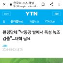 시중유통 낙동강 쌀에서 녹조 독성검출 이미지