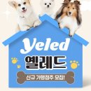 옐레드 애견유치원 & 애견호텔 광명점 | 🐶 투자금 회수가 빠른 애견 유치원 창업, 옐레드 상담 후기