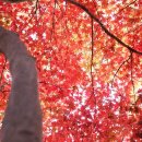 덕동리 마을회관 이미지