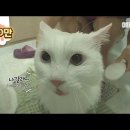 성수
