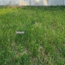 상남동298 이미지