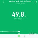 채식식단, 강황은 좋지만...카레에 대한 고민