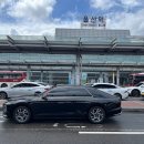 금성크리닝 | 울산카니발렌트 울산금성렌트카와 함께한 쾌적한 여행 경험