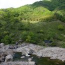 다원필 - 세종특별자치시 보듬3로 160 | 다원필