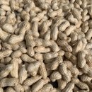 땅콩민박 이미지