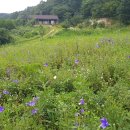 장생농장 이미지