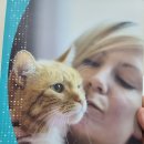 sun동물병원 이미지