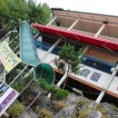 화심장어 이미지