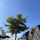 금천체육공원 | 경상도 노지 캠핑장 청도 금천 체육공원 주말 차박 후기