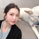 그믐달사진관청담점