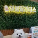 마들역필라테스 해봄필라테스 산후필라테스 시작한 리얼 후기