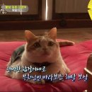 상귀농장
