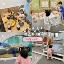 샤방샤방미용실 | 강화도 실내 아이랑 가볼만한 곳 강화행복 키즈카페 17개월 아기랑 내돈내산