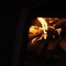 어남약쑥 이미지