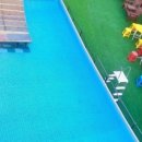 레오나르독 이미지