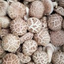 고씨네 농장 이미지