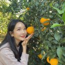 청신농장 이미지