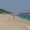 덕신해수욕장 이미지