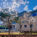 메디힐요양병원 이미지