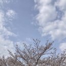 동구리 저수지 위 공원 이미지