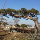 여주둥지공인중개사사무소 이미지